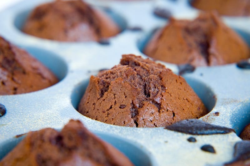 Vegan Blueberry Muffin